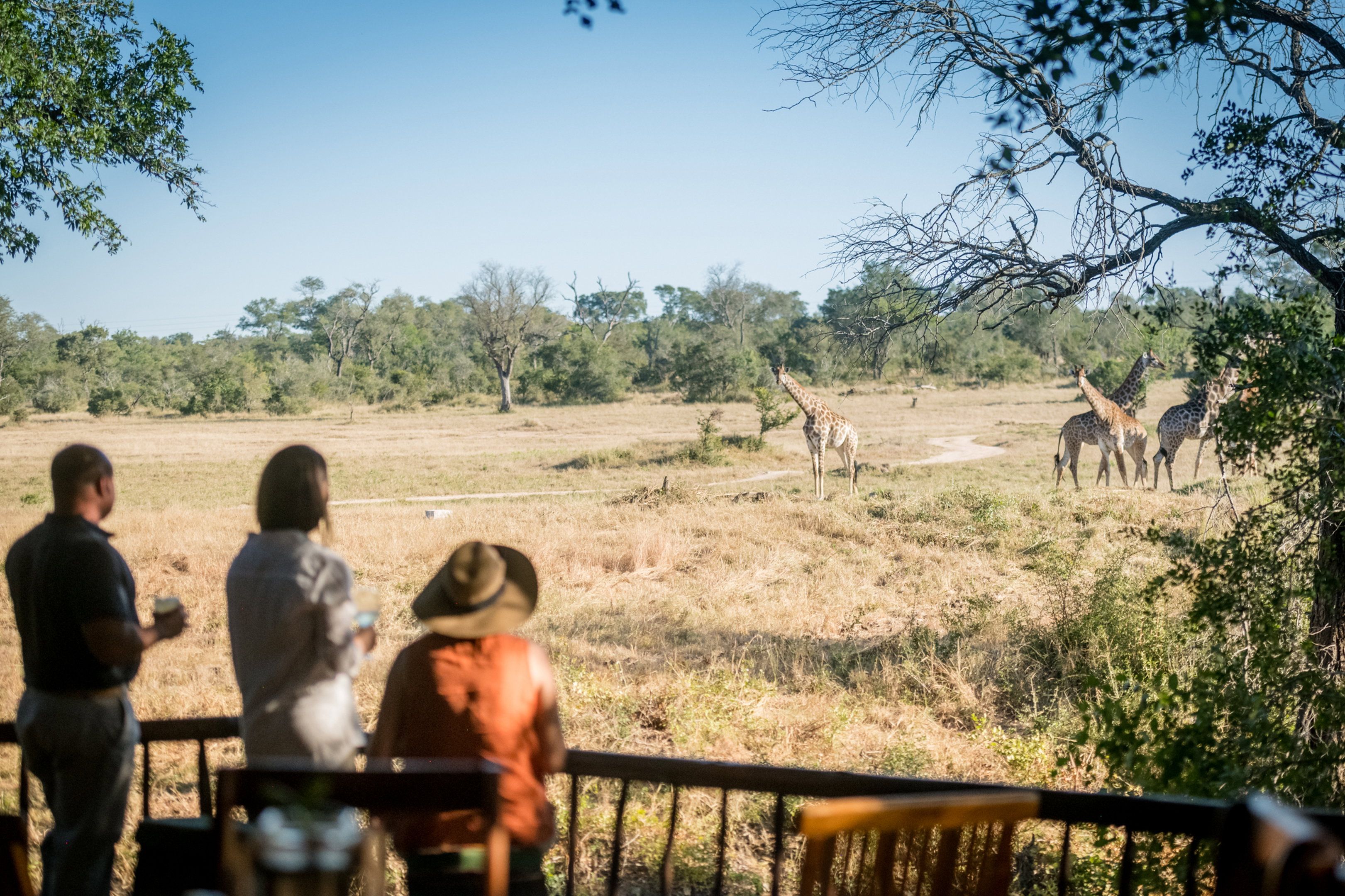 Umkumbe Bush Lodge - Lodge, Est, Sudafrica (15 of 15)