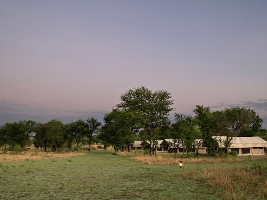 Lussuose tende safari al campo Katikati Kimareshi a Seronera, con vista sugli alberi di acacia e sulla savana.