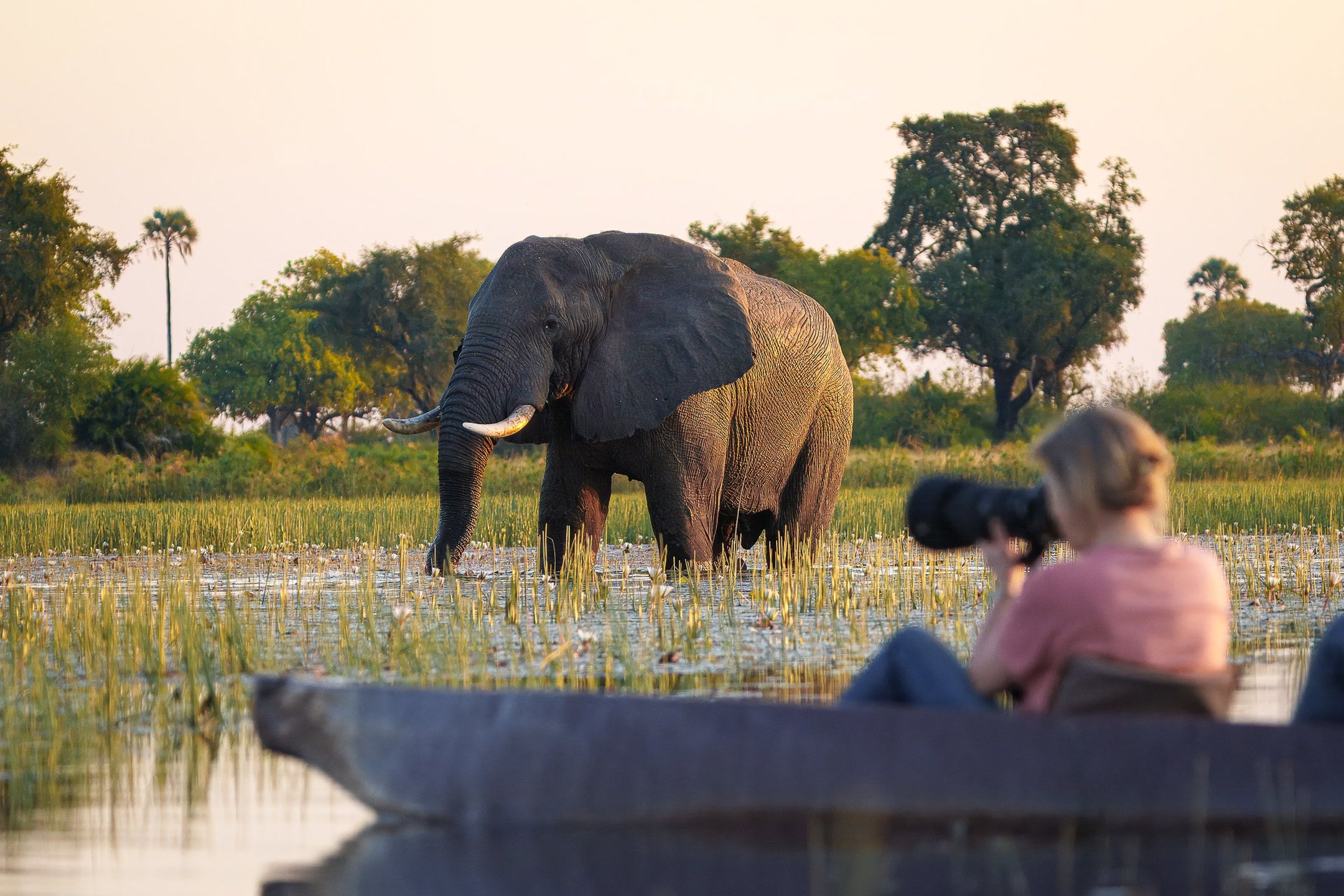 Pelo - Tented Camp, Botswana (14 of 18)