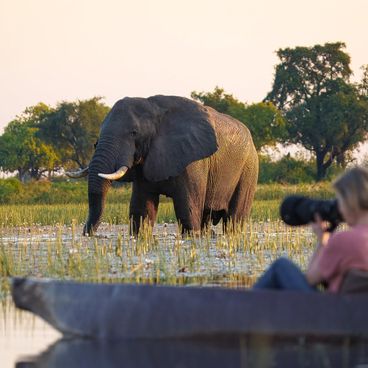 Pelo - Tented Camp, Botswana (14 of 18)