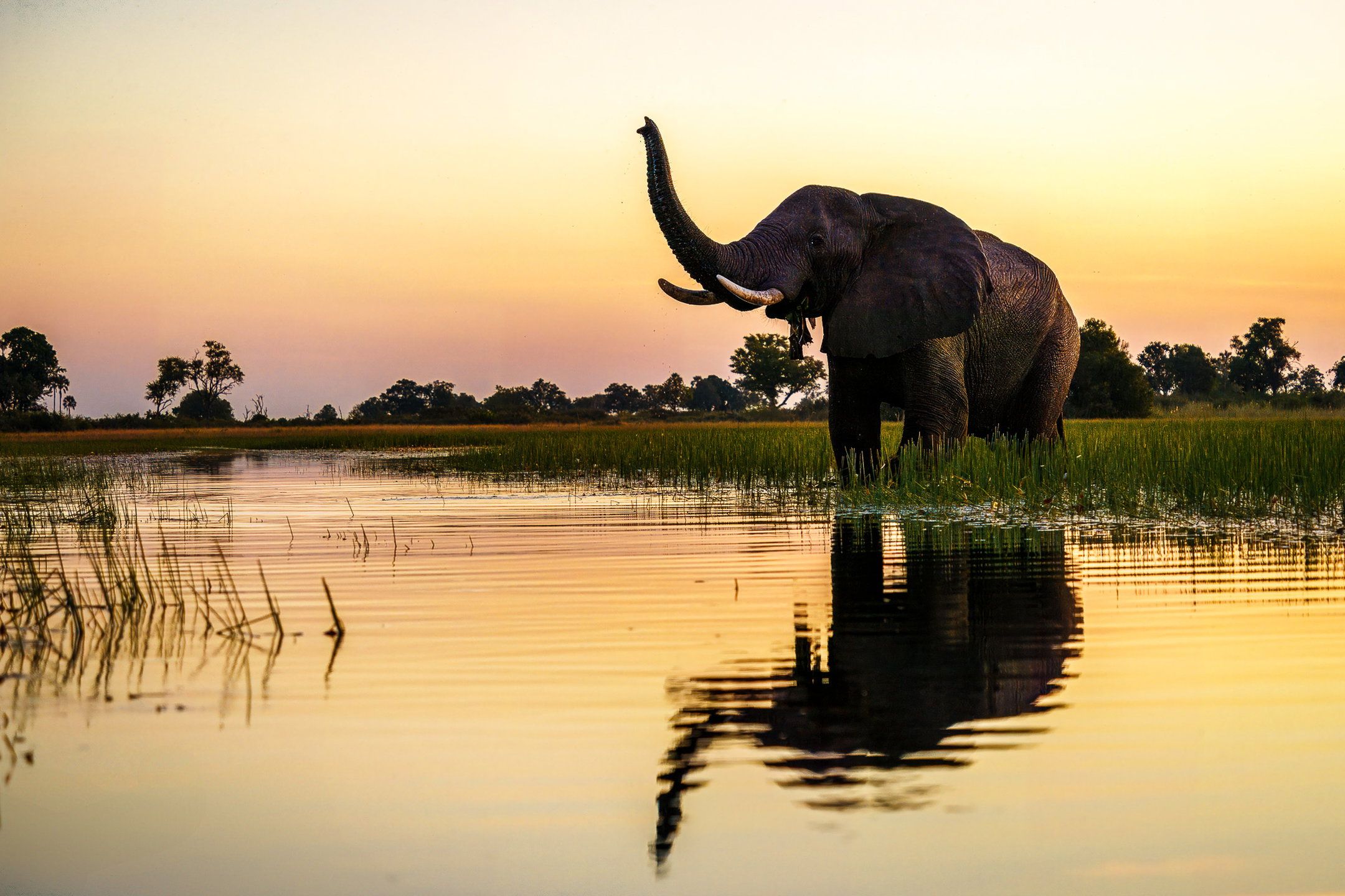 Pelo - Tented Camp, Botswana (12 of 18)