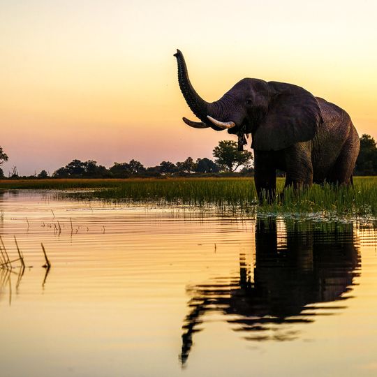 Pelo - Tented Camp, Botswana (12 of 18)
