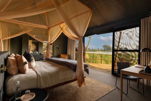 My review of North Island Okavango