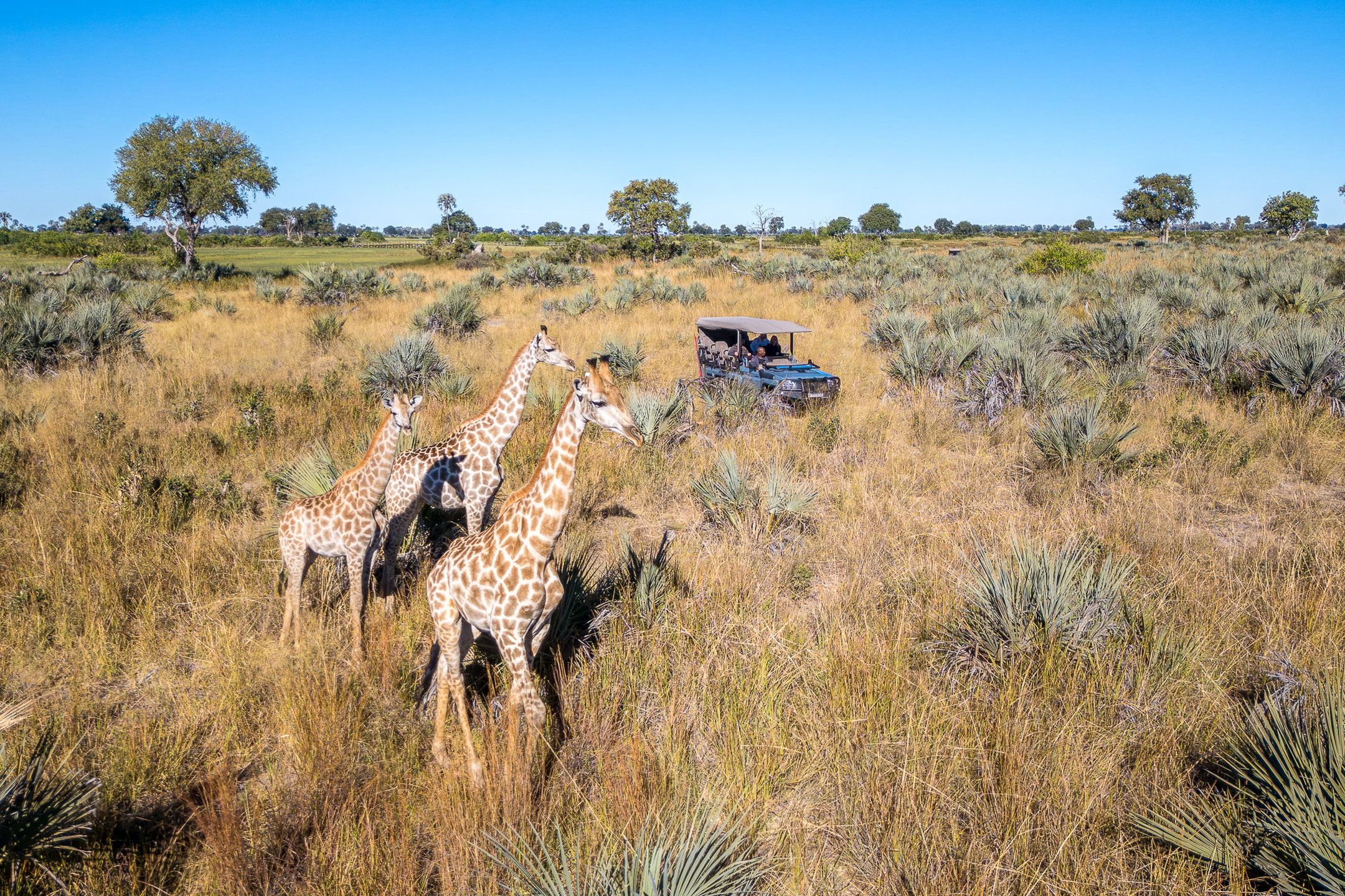 Pelo - Tented Camp, Botswana (16 of 18)