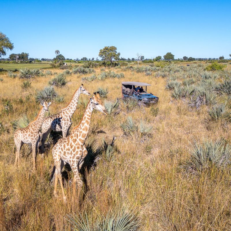 Pelo - Tented Camp, Botswana (16 of 18)
