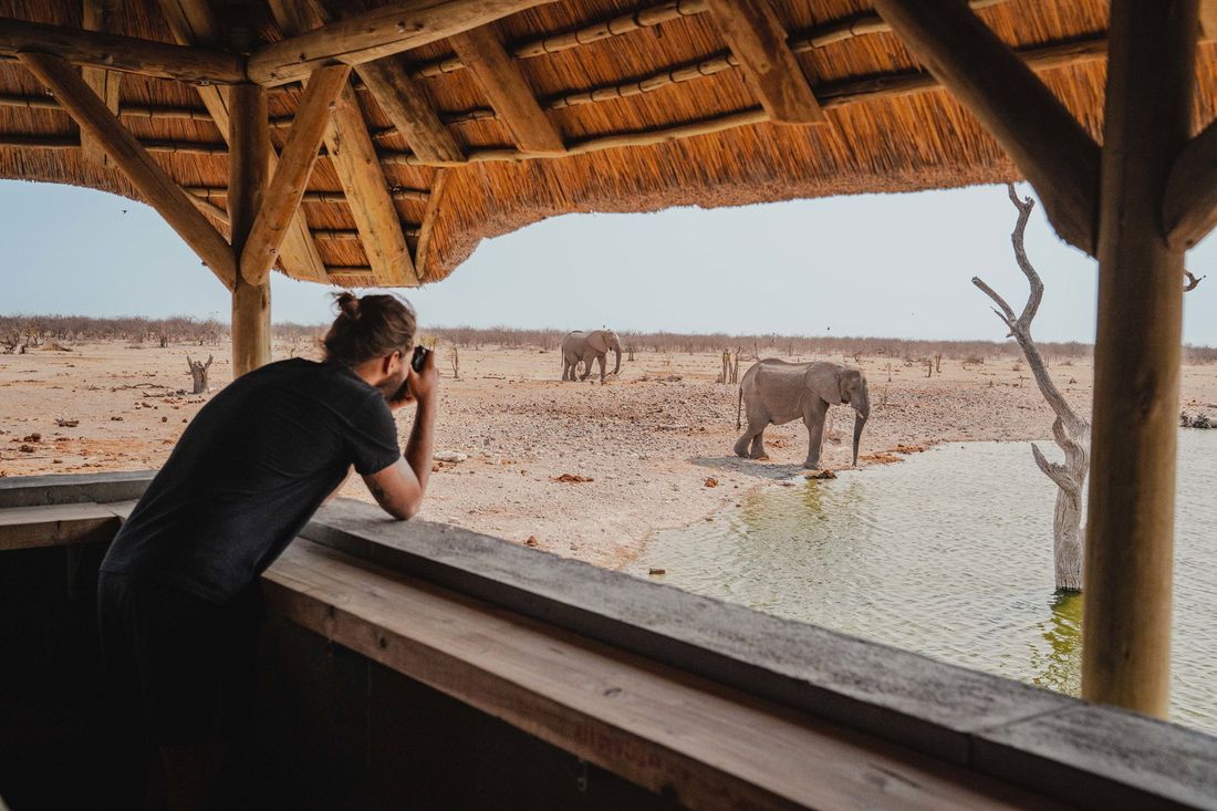 Un visiteur photographiant des éléphants au point d'eau depuis l'intérieur de l'affût au toit de chaume.
