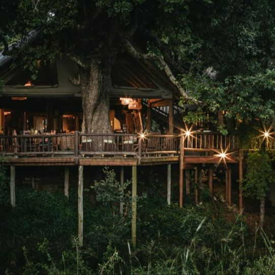 Lodge safari illuminato in stile casa sull'albero a Umkumbe con terrazza in legno che si affaccia sulla rigogliosa savana africana al tramonto
