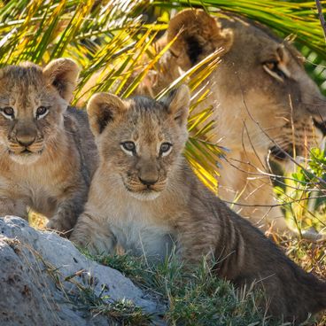 Pelo - Tented Camp, Botswana (15 of 18)