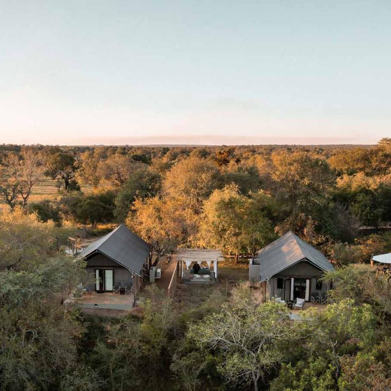 Tende safari di lusso e lodge immersi tra gli alberi di acacia all'Umkumbe Bush Lodge durante l'ora dorata