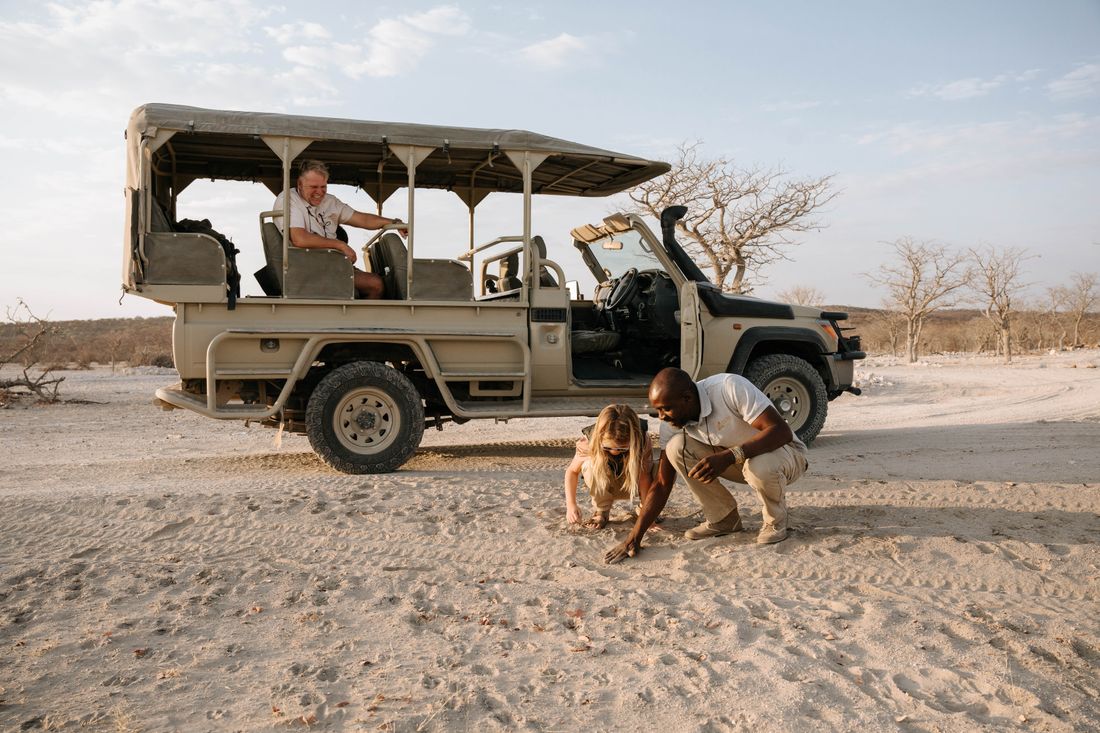 Un guide accroupi aux côtés d'un jeune visiteur pour déchiffrer des traces dans le sable, à côté d'un véhicule de safari.