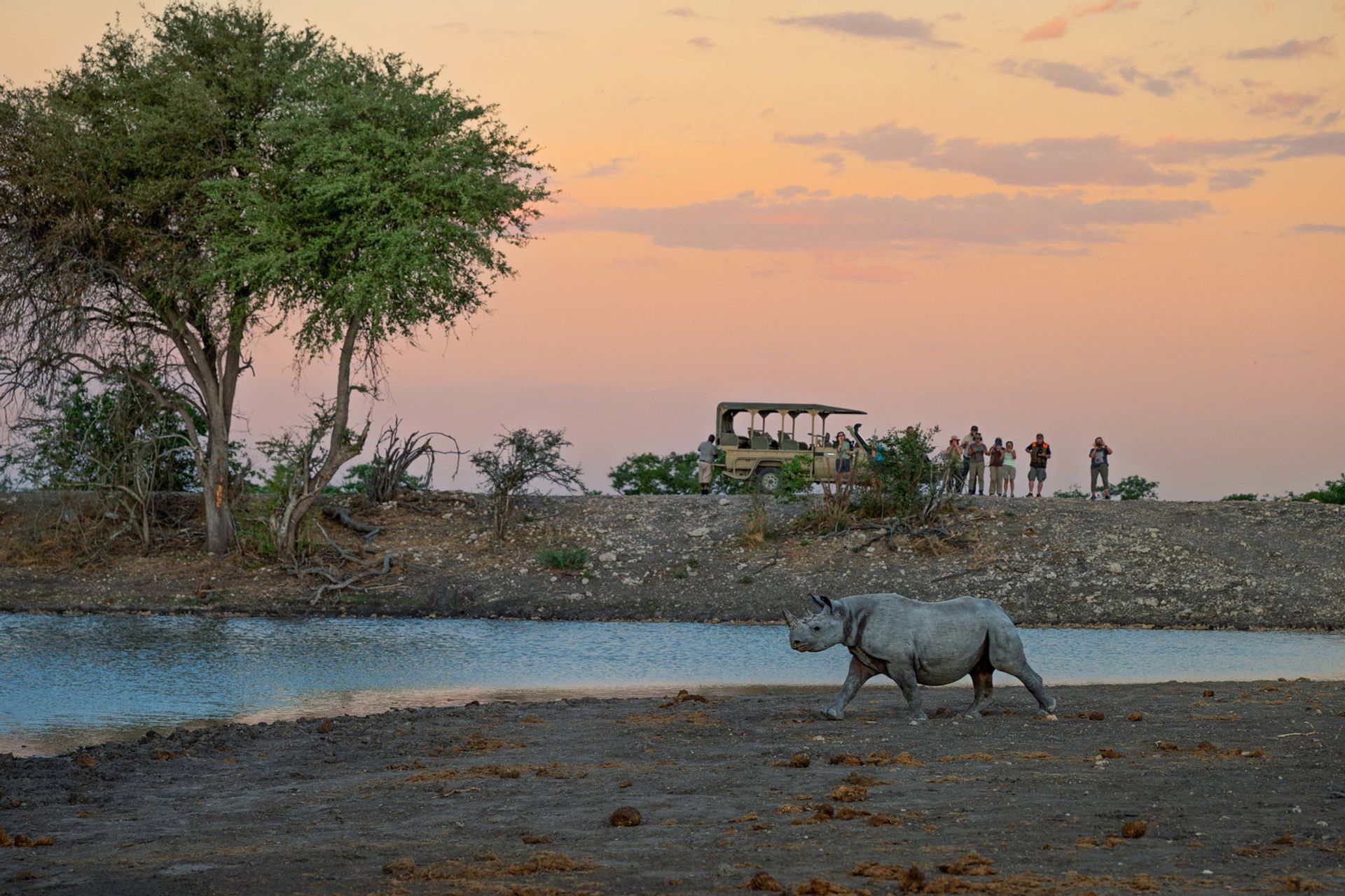 Des voyageurs profitent d'un apéro au coucher du soleil en observant un rhinocéros longer le point d'eau à la tombée de la nuit