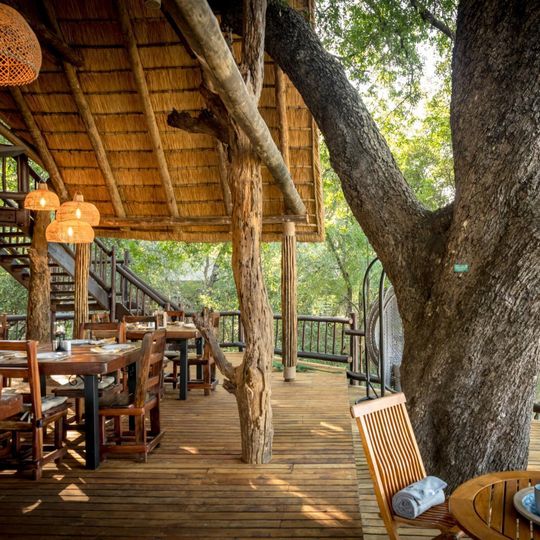 Terrazza ristorante in stile rustico con tavoli in legno disposti intorno agli alberi autoctoni sotto un tetto di paglia all'Umkumbe Bush Lodge.