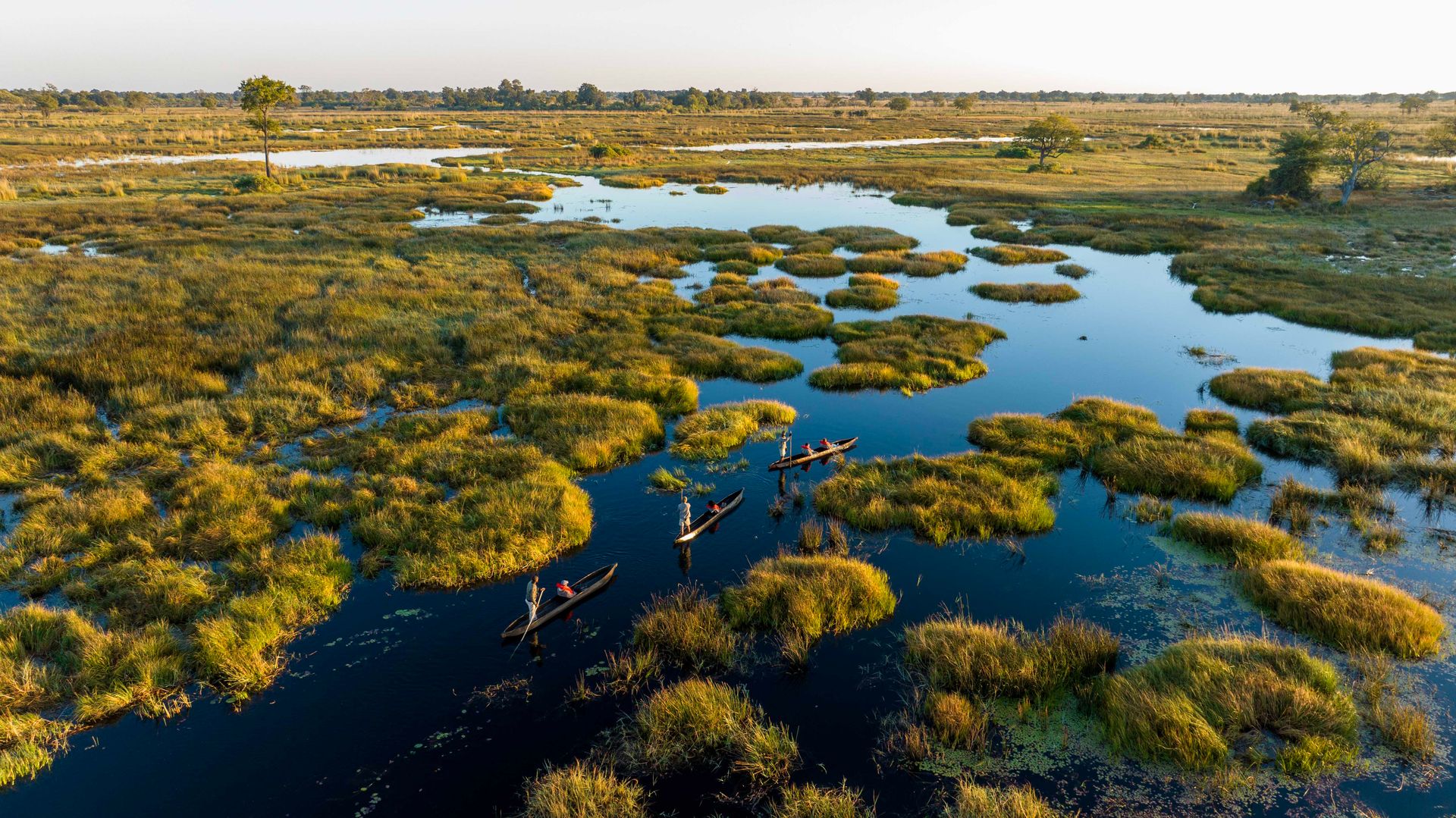 Water channels around North Island Okavango