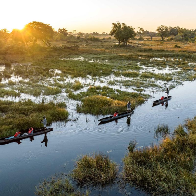 Traditional mokoro canoes gliding through flooded Okavango Delta channels at sunset, with golden light reflecting off calm waters
