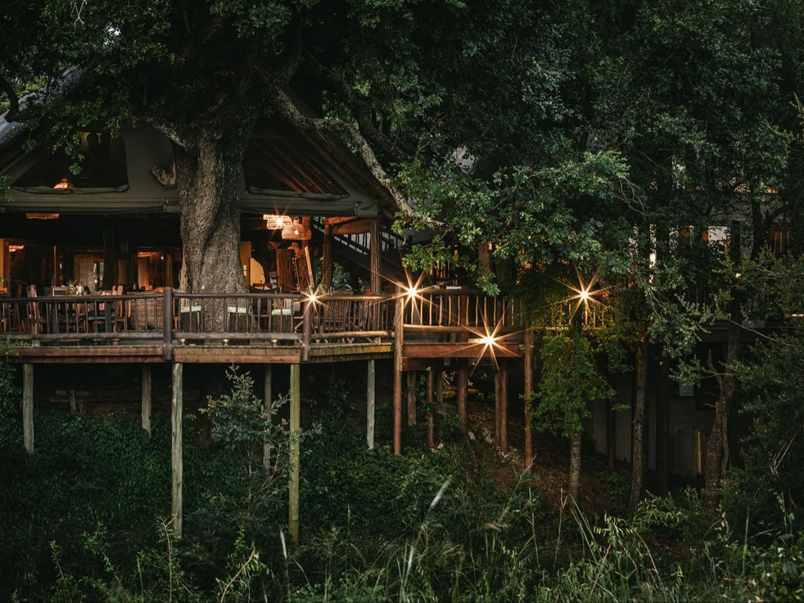Lodge safari in stile casa sull'albero, con terrazza in legno e luci calde, immerso nella rigogliosa savana africana al tramonto.