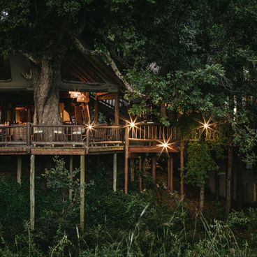 Lodge safari in stile casa sull'albero, con terrazza in legno e luci calde, immerso nella rigogliosa savana africana al tramonto.