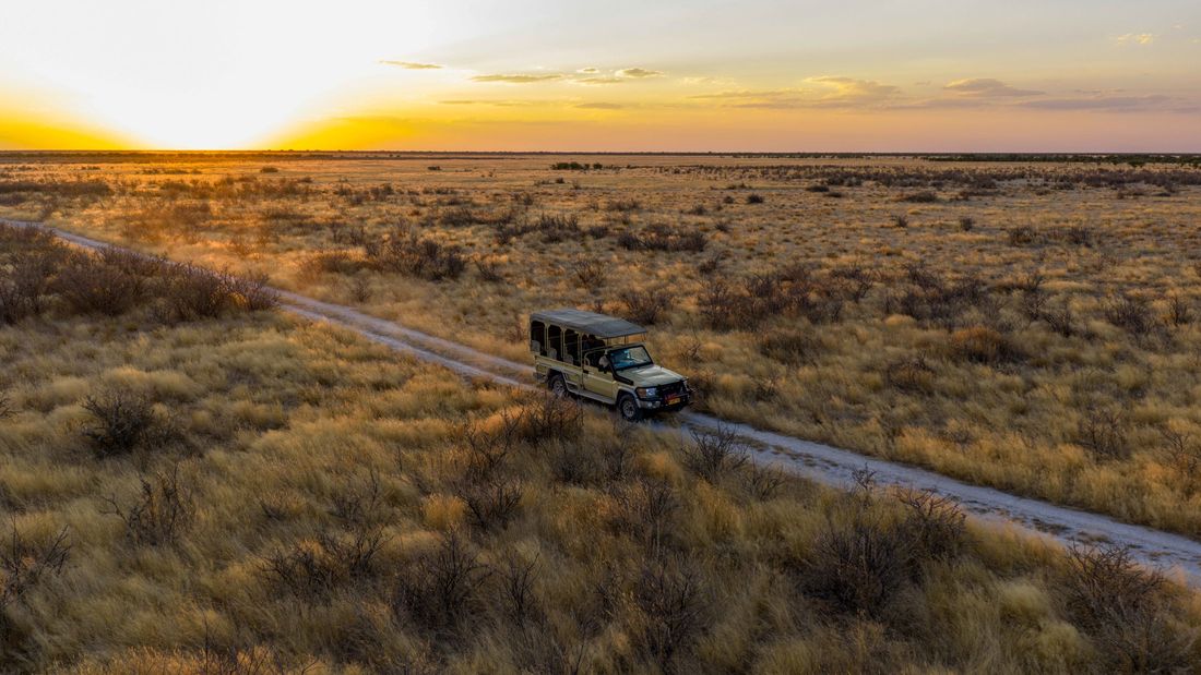 Vue aérienne d'un véhicule de safari sur une piste de gravier traversant la savane au lever du soleil